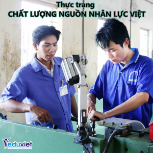 thực trạng chất lượng nguồn nhân lực Việt